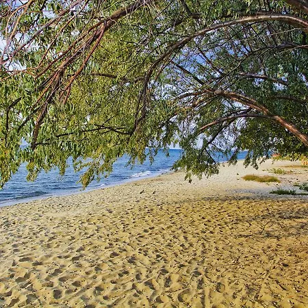 Stella Hotel Skala Rachoni (Thasos)