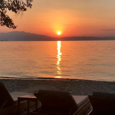 Stella Szkála Rahoníu