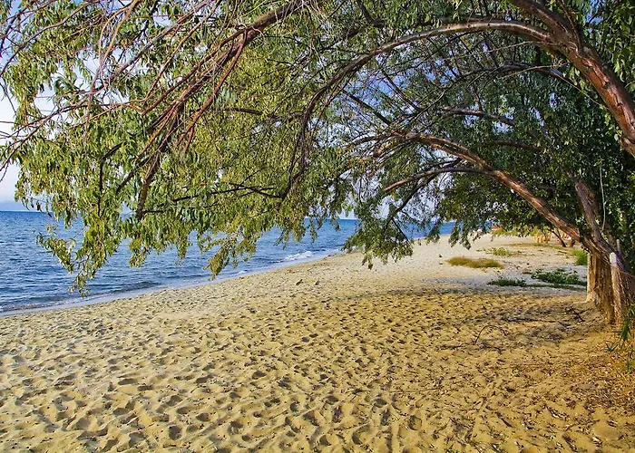 Stella Otel Skala Rachoni (Thasos)